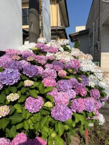今日も暑いですね☀️