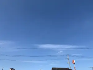 秋晴れ☀️の記事画像