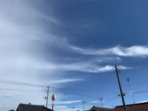 秋晴れ☀️の記事画像